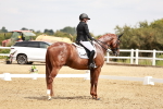SBM_003595