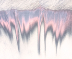 OXIDE PATTERNS - LONG POINT BEACH