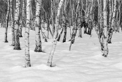 Bolehill blanket
