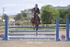 BPP_7099