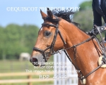 BPP_4644