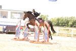 SBM_004407