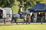 SBM_20082