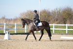 SBM_004295