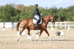 SBM_016041
