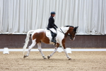 SBM_001647