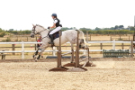 SBM_004501