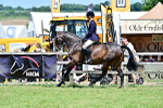 SBM_17511