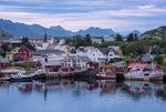 Rein Harbor