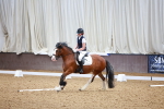SBM_000513