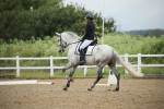 SBM_000210
