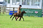 SBM_03631