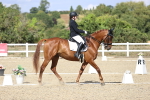 SBM_015251