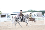 SBM_17243