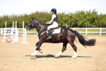 SBM_002028