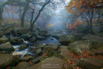 Padley Mist