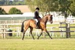 SBM_20297