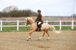 SBM_006795