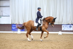 SBM_008985
