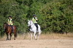 WJ6_7256