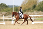 SBM_018381