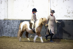SBM_008868