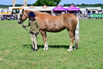 SBM_08078