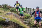 Langdale -910