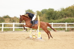 SBM_008372