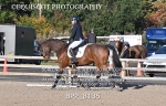 BPP_8135