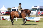 Class 4: Rising Star M/H Hunter portfolio