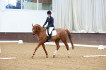SBM_003460