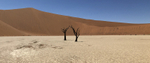 Dead Pan, Namibia