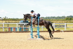 SBM_005147