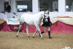 SBM_23641