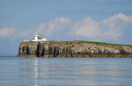 Inner Farne, Farne Islands, Northummberland