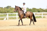 SBM_004545