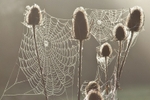 Thursday 24th Sept 2009