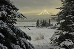 Redoubt Winter