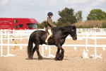SBM_03737