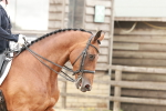 SBM_001781