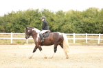SBM_000567