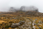 Mist on Lower Cove