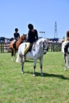 SBM_15427