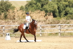 SBM_002972