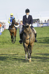 PtP 200322 545