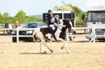 SBM_007996