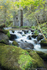 Kennall Vale