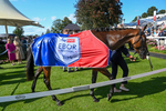 240824-Race 4-Magical Zoe-1243
