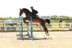 SBM_006980